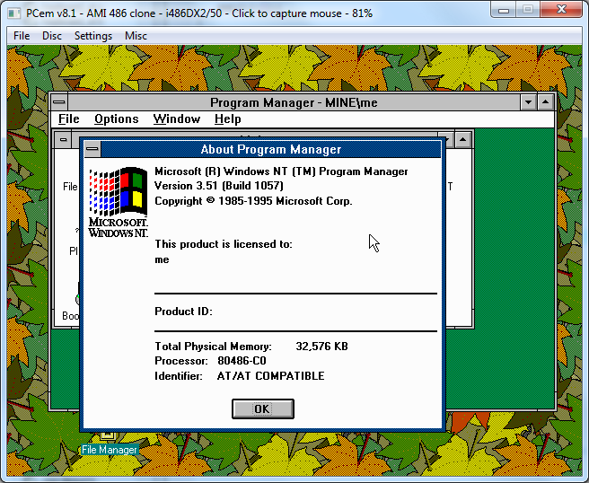PCem-WinNT3.51.png