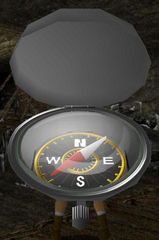 trxcompass.jpg
