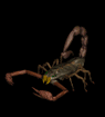 Scorpion666’s avatar
