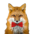 Wohlstand’s avatar