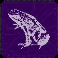 dartfrog’s avatar