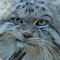 JamieBGood’s avatar