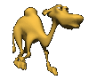 BackwardsCamel’s avatar