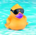 duck’s avatar