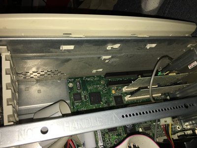 IMG_0100 (Large).JPG