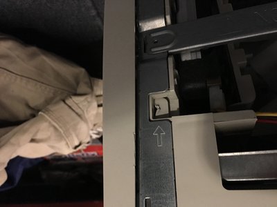 IMG_0099 (Large).JPG