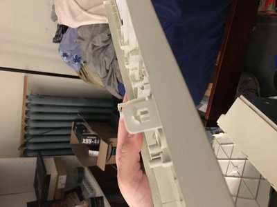 IMG_0105 (Large).JPG