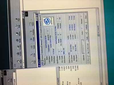 IMG_0132 (Large).JPG