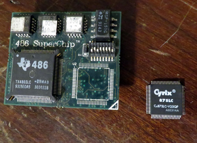 Evergreen_486_SuperChip_feipoa.jpg