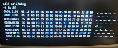 20250331_172546.jpg
