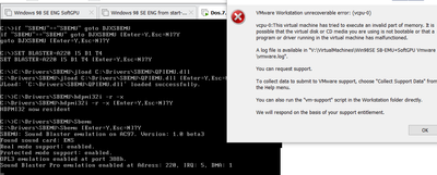 SB-Emu-VmwareCrash.png