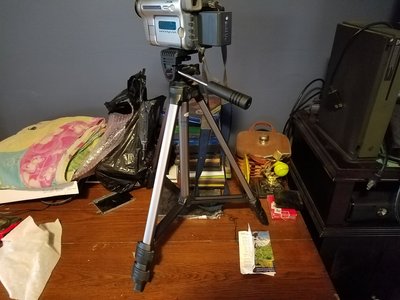20170815_154611.jpg