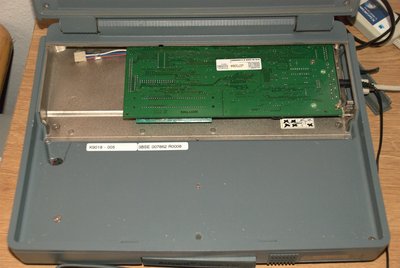 DSC_0202 (Large) (Large).jpg