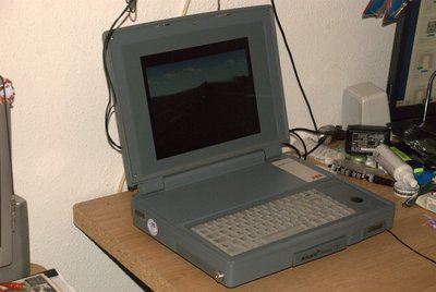 DSC_0184 (Large).jpg