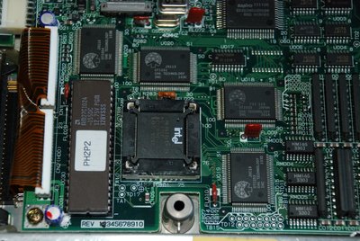 DSC_0115 (Large).JPG