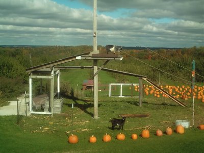 DU61aTPUQAAoqNS.jpg large.jpg