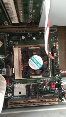 IMG_20190528_150433039 2.jpg