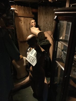 hello there human.jpg