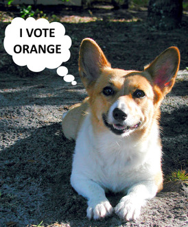 vote_orange.jpg