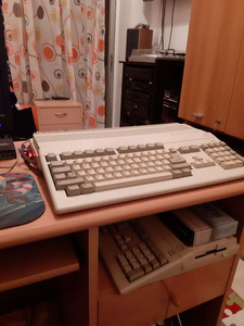 amiga.jpg