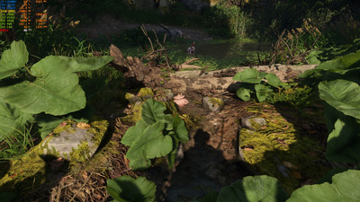 pond treasure.jpg