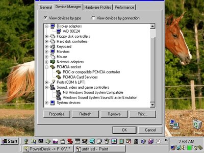 Zenith Z-Noteflex Win98SE Device Mgr.jpg