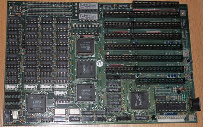 286-Chips AMI78384.JPG