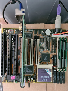 486_mainboard_terminator_2_pci.jpg
