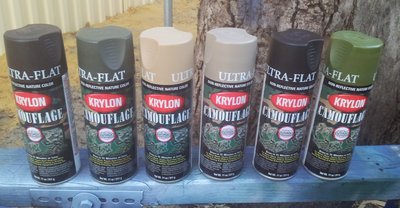r. camo krylon.jpg