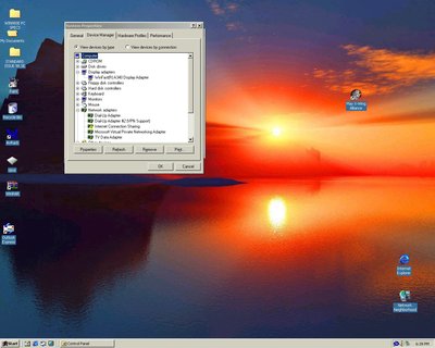 r.4.GRAPHICS GFFX520.128mb.jpg