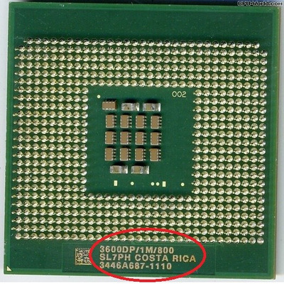 Socket 604 processor - back.jpg