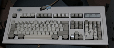 ModelM (Custom).JPG