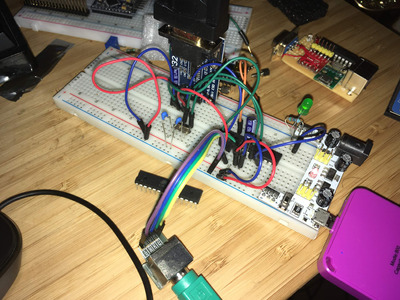 IMG_0496 (Custom).jpeg