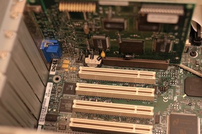 IMG_7624 (Custom).JPG