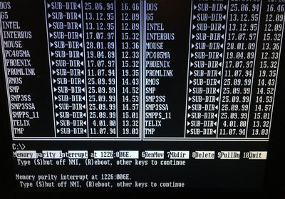 T3200SX-Memoryboard.JPG