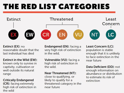 red_list_categories_snip.jpg