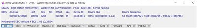 PCI ID is iin the option ROM BIOS.png