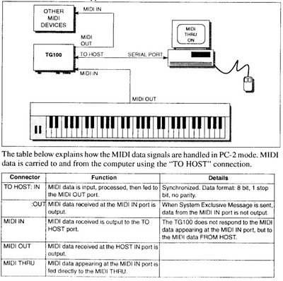 TG100 serial MIDI.jpg