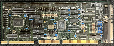 Photo Apr 29 2023, 8 03 22 AM.jpg