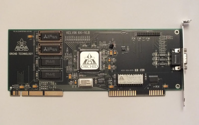 Orchid Kelvin 64-VLB (Копировать).JPG