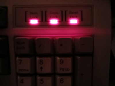 20250524_015407.jpg