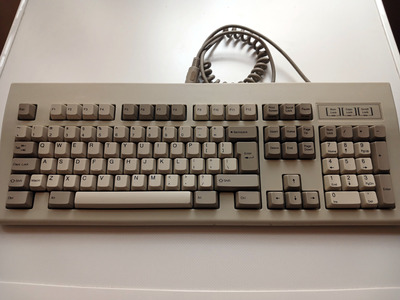 20250525_153631.jpg