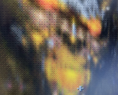 IMG_7323.jpeg