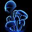 eniwetok’s avatar