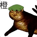 ScrewB’s avatar