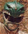 WasteOfHeadspace’s avatar