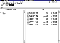 80c88WildXT’s avatar
