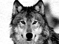 Lord Myn’s avatar