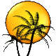 Amana’s avatar