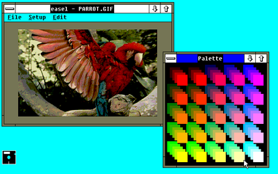 miscc256parrot.png